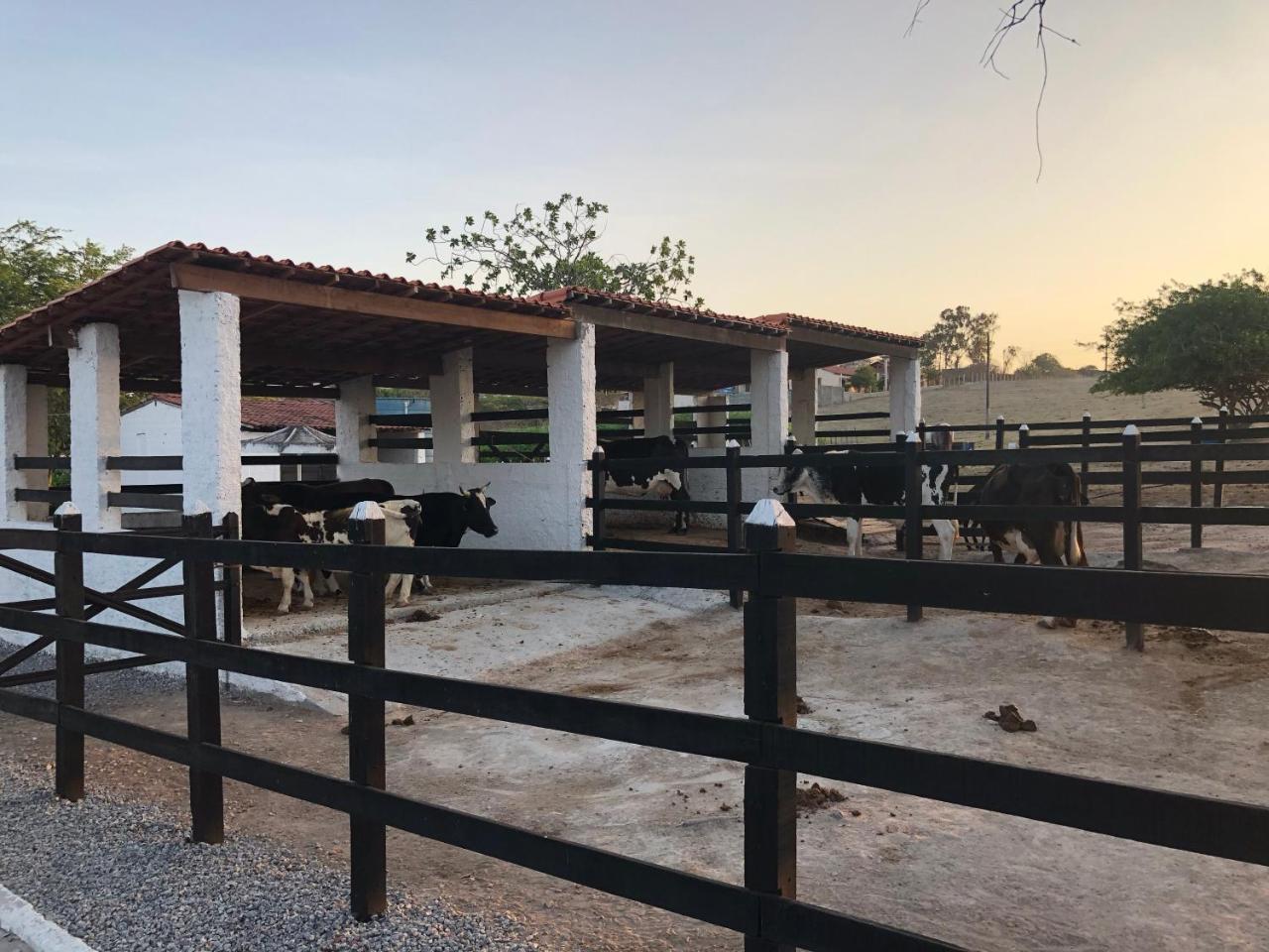 Flat 301 Condominio Villa Hipica - Gravata, Pe Buitenkant foto