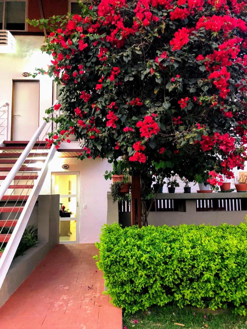 Flat 301 Condominio Villa Hipica - Gravata, Pe Buitenkant foto